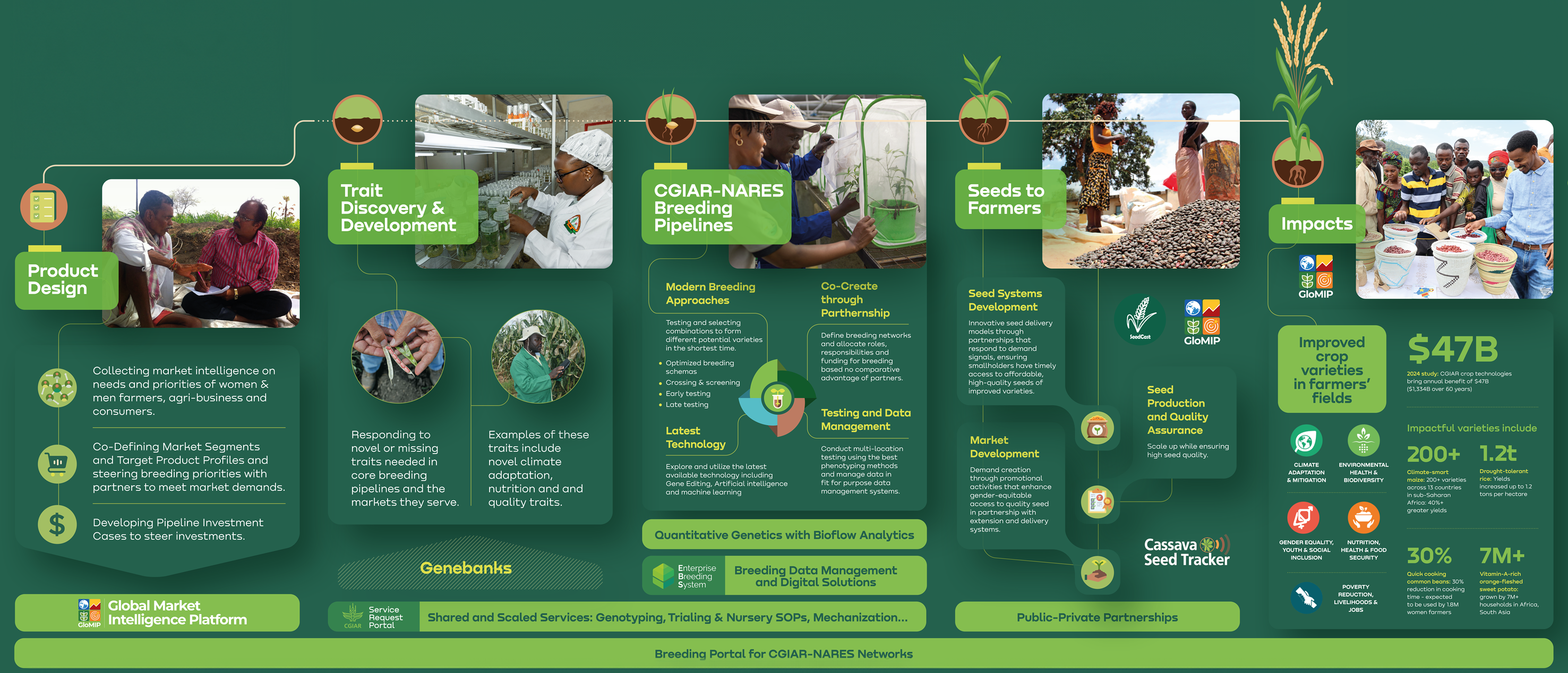 InteroperableSystem - Image 1 - CGIAR-NARES breeding network | GloMIP